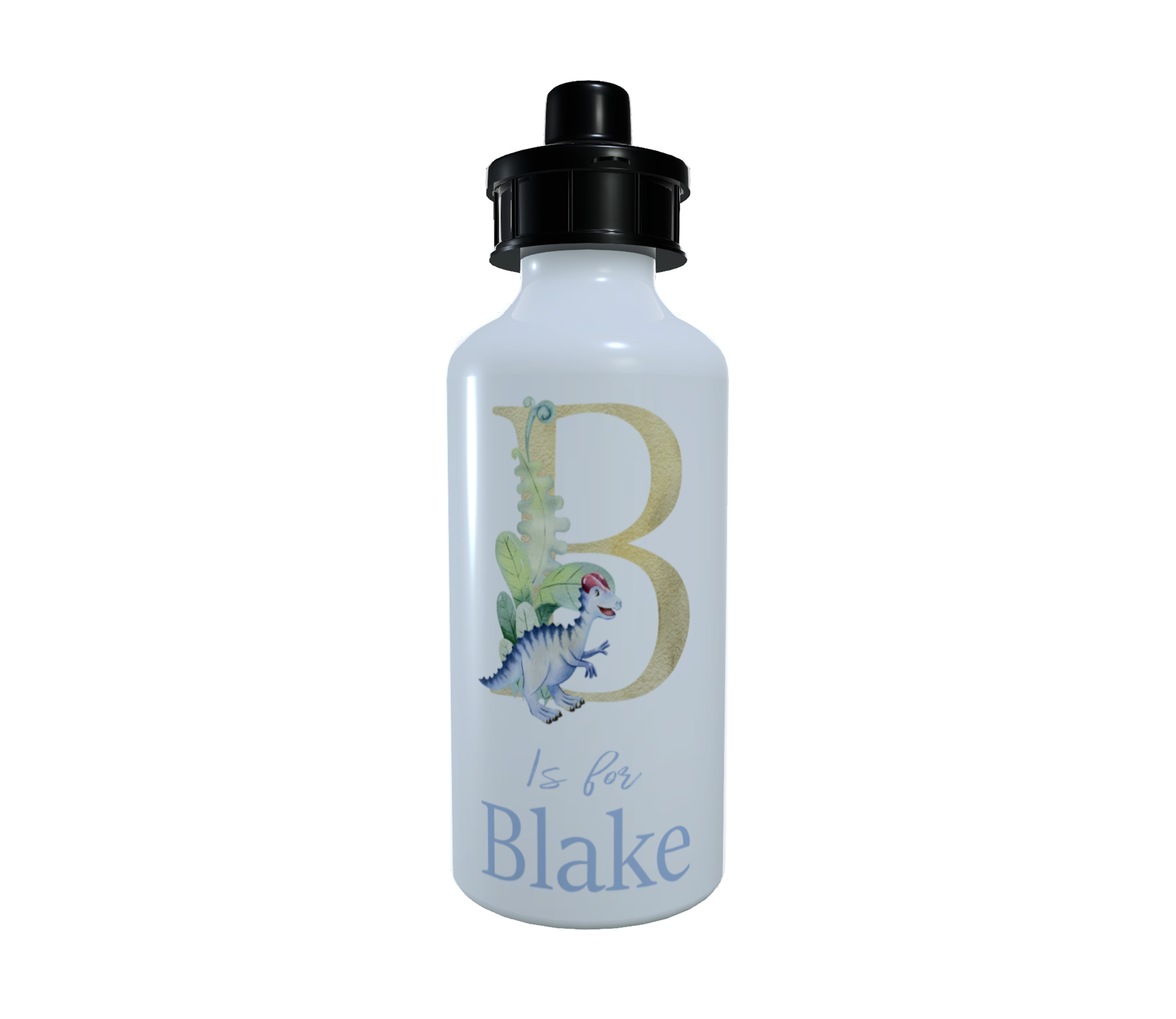 Dinosaur Letter Art Water Bottle, Gift for Friend, Dinosaur - Click Image to Close